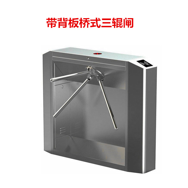 带背板桥式三辊闸